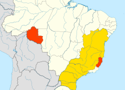 All About Brazilian Coffee