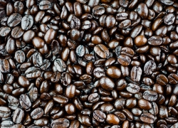 Dark Roast